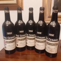 barolo 