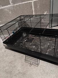 Gabbia per cavie peruviane o criceti