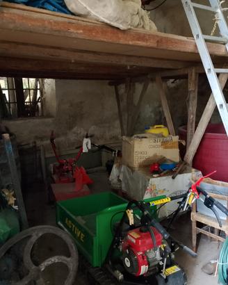 Cantina e uliveto