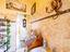 Immagine 20