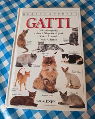 Gatti