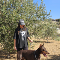 Dobermann per monta