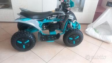 Altro Altro modello - 2024