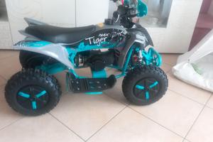 Altro Altro modello - 2024