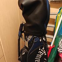 Set mazze da golf