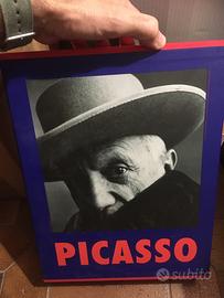Picasso volumi