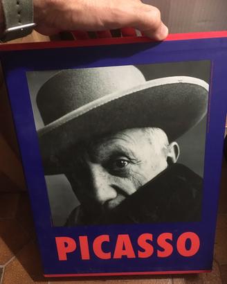 Picasso volumi