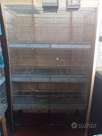 Batteria di gabbie