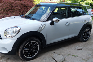 Mini countryman