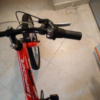 bici MTB 