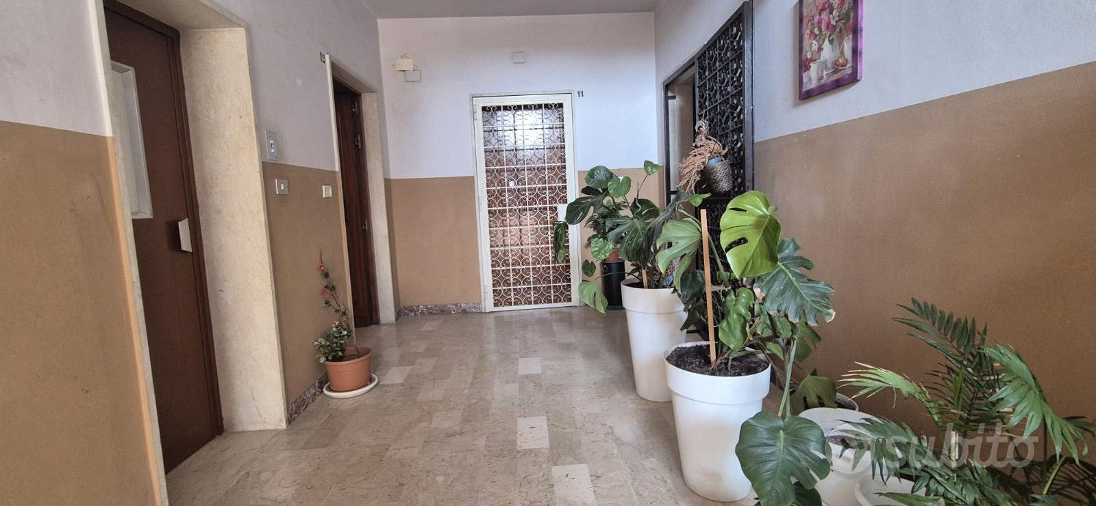 Apartment in Siracusa, Santa Lucia - Vista 4