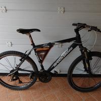 bicicletta uomo