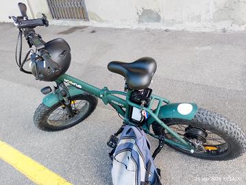 bicicletta elettrica 