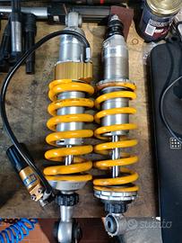 Coppia Ohlins BMW R 1150 GS Standard ( no ADV)