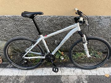 SPECIALIZED