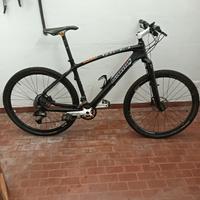bicicletta Mountain bike 