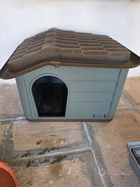 Cuccia cane