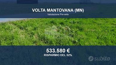Immobile in asta di 44291 m² a Volta Mantovana
