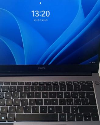 Portatile Huawei Matebook D14