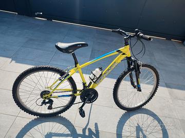 bici bambino 24