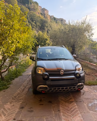 Fiat Panda Cross 4x4
