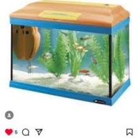 Acquario Cayman 50