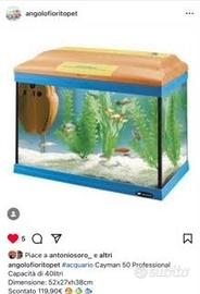 Acquario Cayman 50