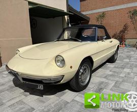 ALFA ROMEO Spider 1.3 Junior Osso di Seppia COMP