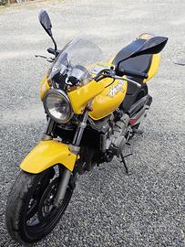 Honda Hornet 600