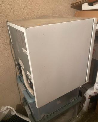 Frigo