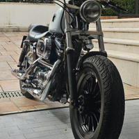 Harley Davidson 883