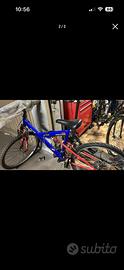 Bici ragazzo