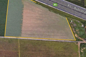 Vendita terreno agricolo