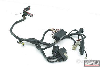 Cablaggio destro trifase Ducati 748 996 21
