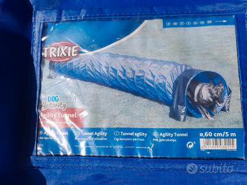 Attrezzatura agility dog