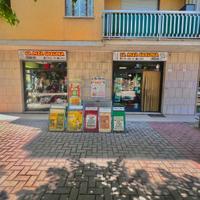 Attività commerciale