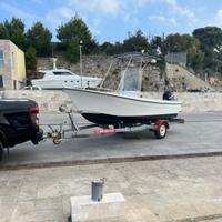 Barca 40 cv mercury