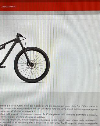 SPECIALIZED