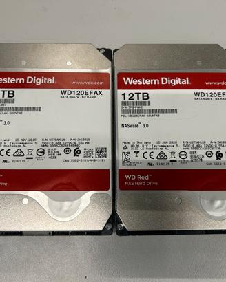 2 Hard Disk WD Red 12TB