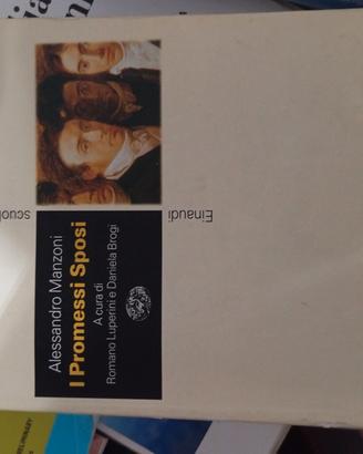 libro promessi sposi scientifico 