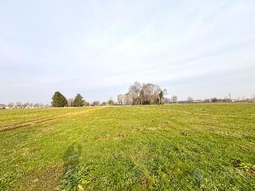 TER. AGRICOLO A FONTANIVA