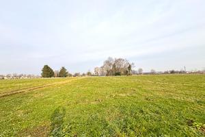 TER. AGRICOLO A FONTANIVA