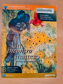 Un incontro inatteso - ISBN 9788839529015