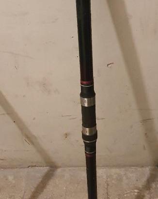 Canna da pesca