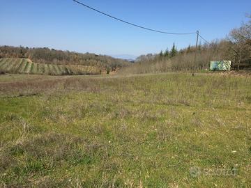 Terreno in località Alberoro
