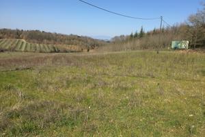 Terreno in località Alberoro