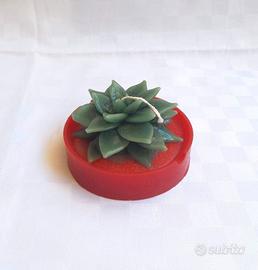 Decorazione floreale artistica pianta succulenta