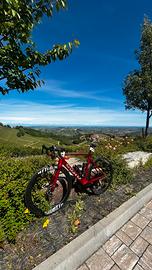 Bici da corsa Gusto Cobra evo