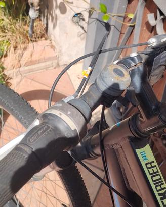 bicicletta ragazzo