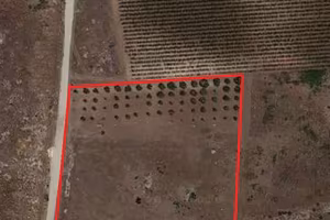 Terreno agricolo